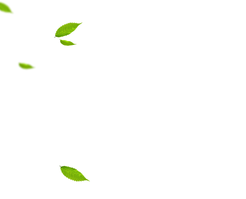 leaf